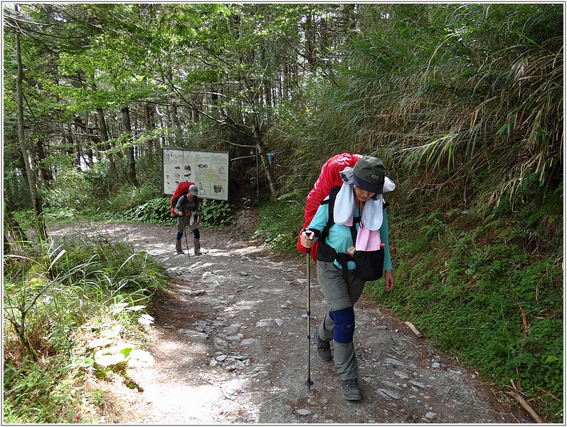 2014-07-13 14-43-19往向陽山屋途中.JPG